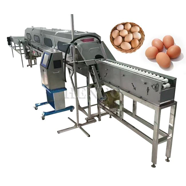 Equipamento de classificação de ovos