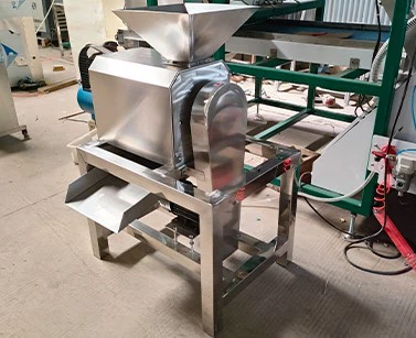 Lemon Pulper Machine Lemon Pulper Machine